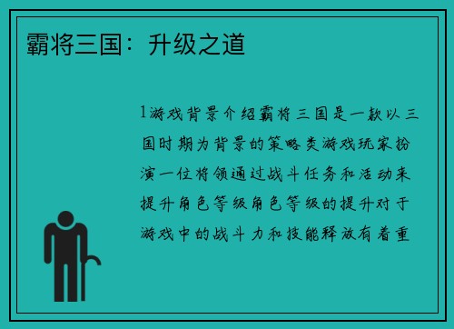 霸将三国：升级之道
